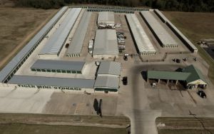 Photo of Tiger Mini-Storage & Car Wash - Broken Arrow Storage