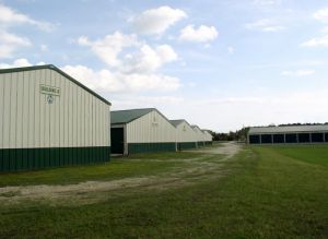Photo of Raccoon Road Storage