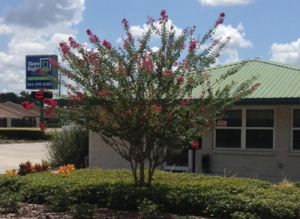 Photo of StoreRight Self Storage - Winter Haven