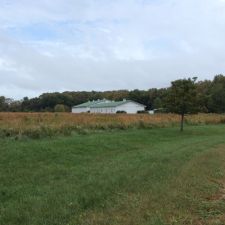 Photo of Nip and Tuck Farm