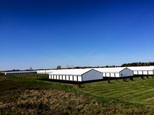 Photo of Badger State Storage - New Richmond