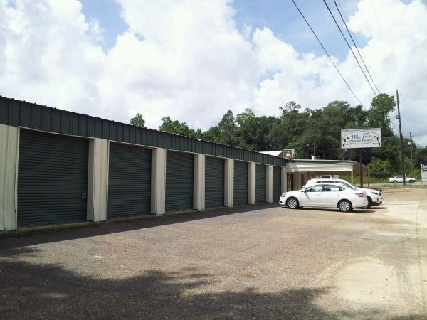 Mr. P's Storage Facility- Theodore- 5809 Larue Steiner Road 5809 Larue Steiner Road Theodore, AL - Photo 1