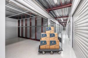 Photo of Life Storage - Forest Park
